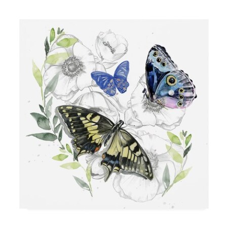 Trademark Fine Art Jennifer Paxton Parker 'Butterfly Floral I' Canvas Art, 18x18 WAG16596-C1818GG